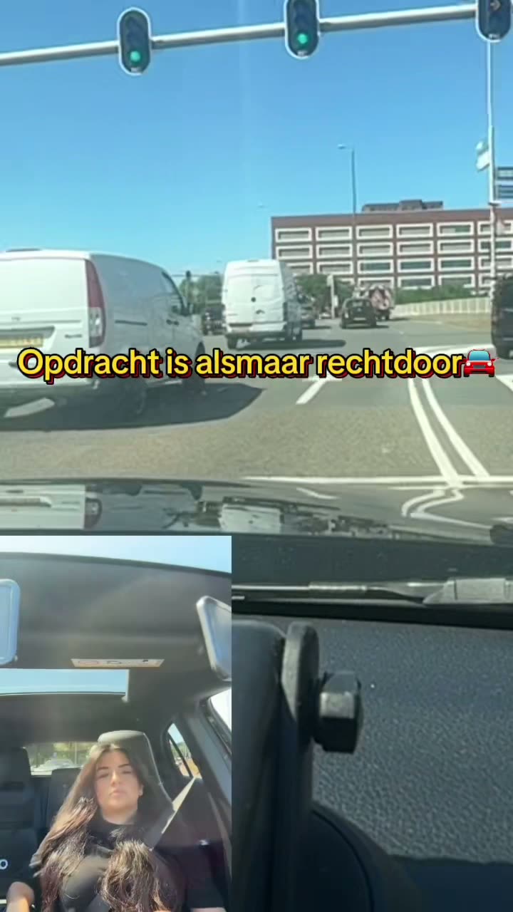 Videominiatuur
