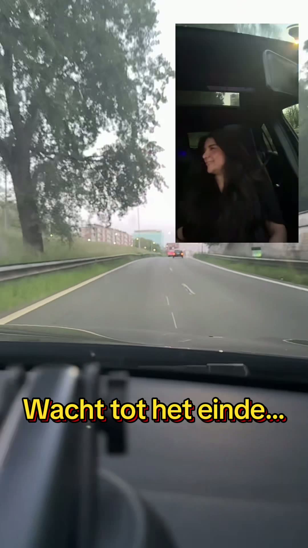 Videominiatuur